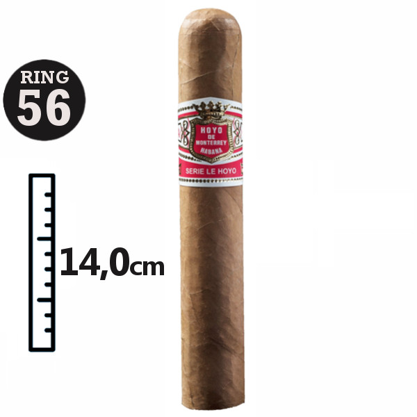 HOYO DE MONTERREY HOYO DE RIO SECO