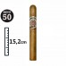 ALEC BRADLEY CONNECTICUT TORO