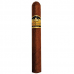 DON TOMAS CLASICO ROBUSTO 25'S