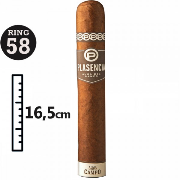 PLASENCIA ALMA DEL CAMPO MADRONO