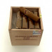 PRINCIPES SUMO SHORT ROBUSTO CLARO 25's
