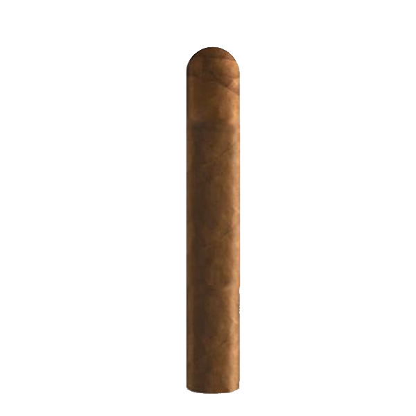 SANTIAGO ROBUSTO 20's