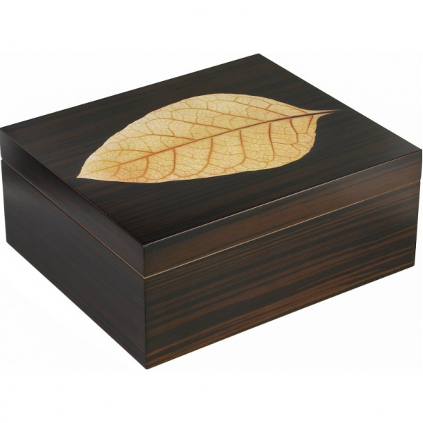 ΥΓΡΑΝΤΗΡΑΣ ADORINI VERONA DELUXE