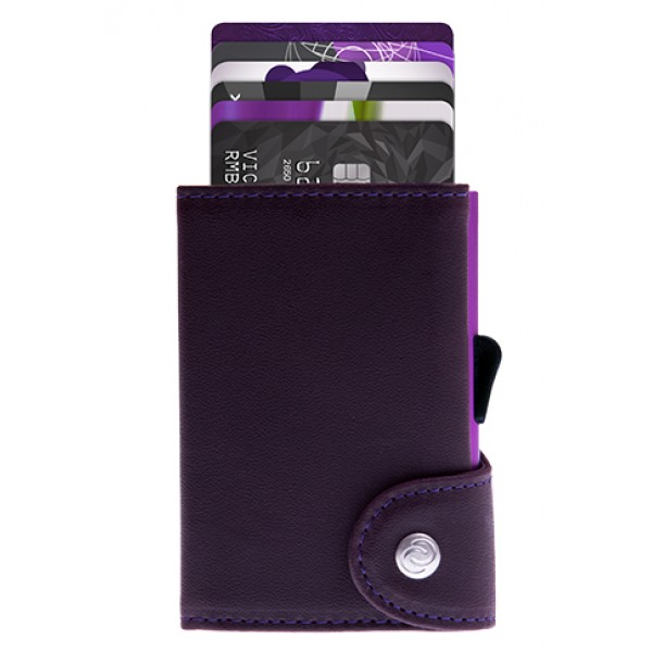 ΠΟΡΤΟΦΟΛΙ-ΚΑΡΤΟΘΗΚΗ C-SECURE CARDINALE LIMITED 