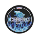 Iceberg